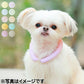 28°ICE 2023SUOリング ボタンなし チェック柄 XS アプリコット クールリング 犬 熱中症対策 猫 ペット 暑さ対策 スオ