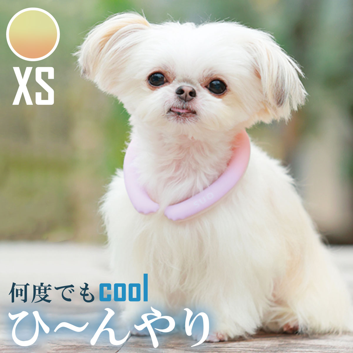 28°ICE 2023SUOリング ボタンなし グラデーション XS サフランイエロー クールリング 犬 熱中症対策 猫 ペット 暑さ対策 スオ