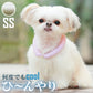 28°ICE 2023SUOリング ボタンなし グラデーション SS エクリュホワイト クールリング 犬 熱中症対策 猫 ペット 暑さ対策 スオ