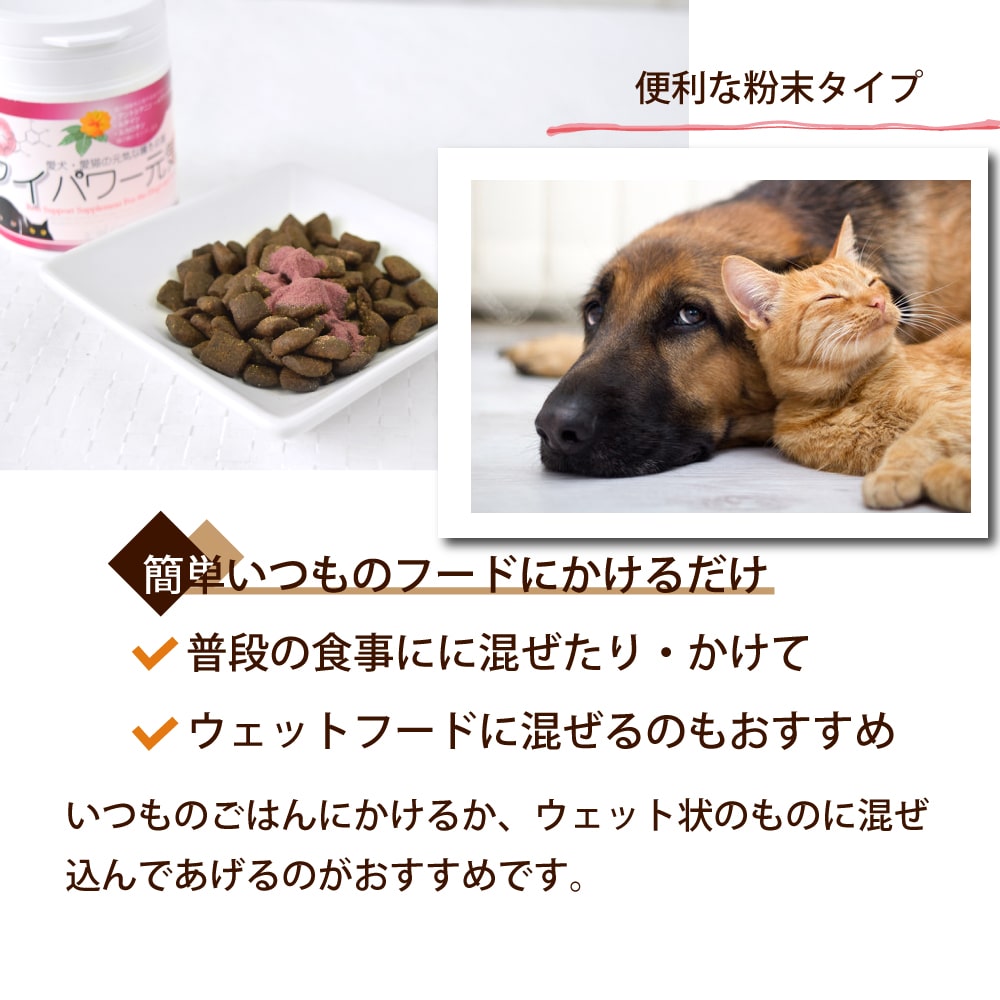 GLORY DOG＆EARTH 犬猫用サプリメント アイパワー元気 60g