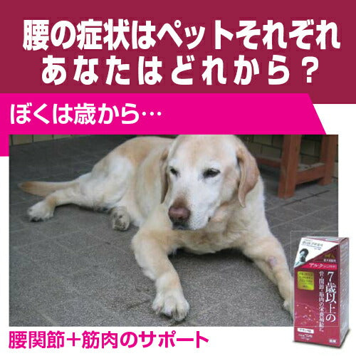 トーラス アルク シニアの子 チキン味 75粒