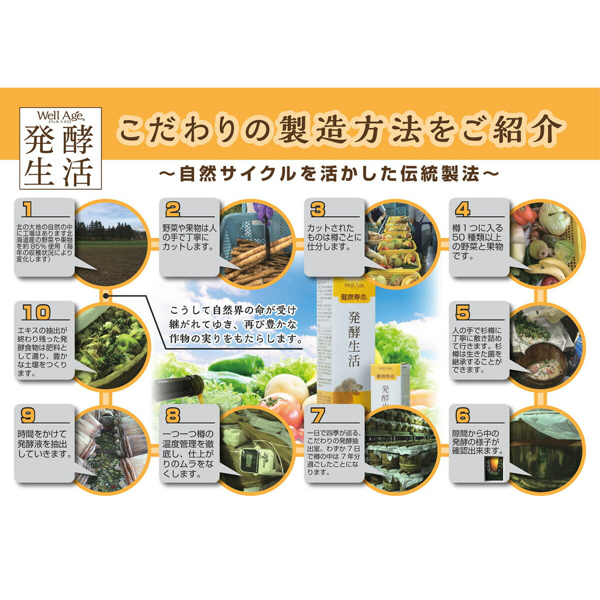 トーラス WellAge 健康寿命 発酵生活 100ml