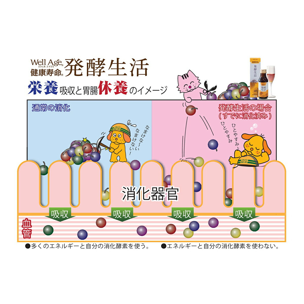 トーラス WellAge 健康寿命 発酵生活 100ml