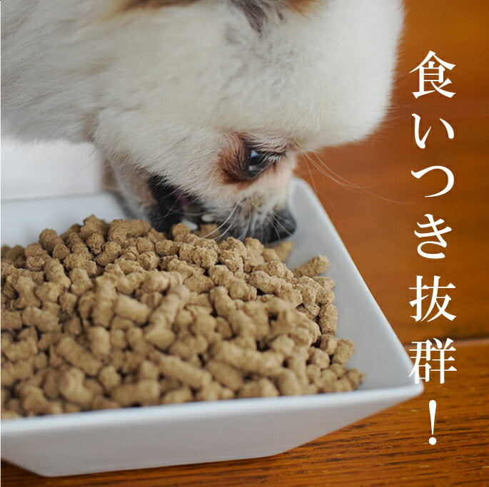 帝塚山ハウンドカム ホリスティッククッキング ホース 1kg