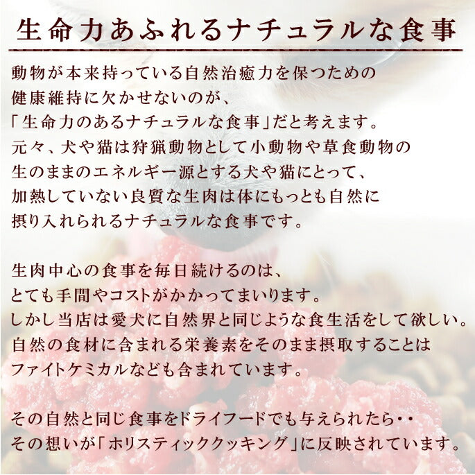 帝塚山ハウンドカム ホリスティッククッキング フィッシュ 1kg