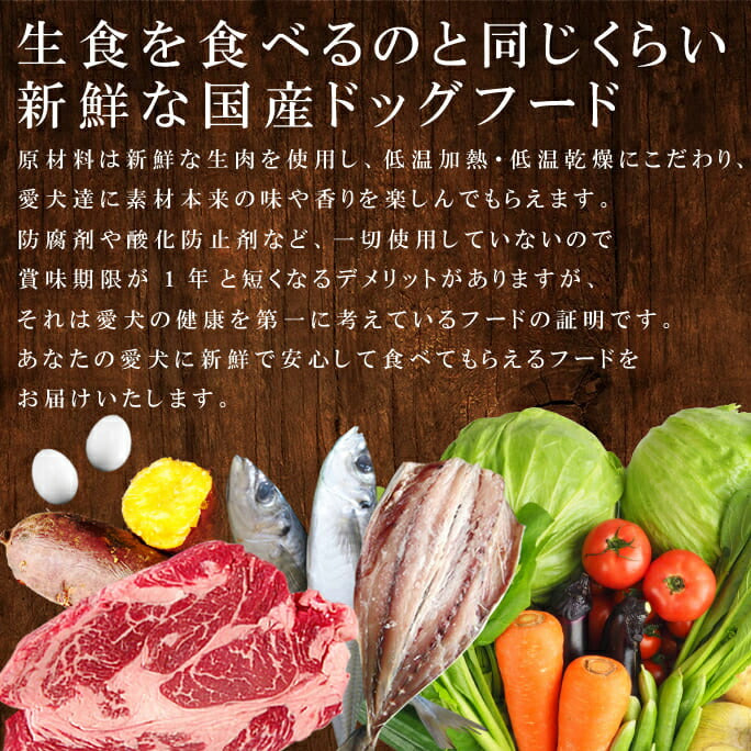 帝塚山ハウンドカム ホリスティッククッキング フィッシュ 1kg