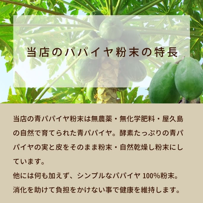 帝塚山ハウンドカム 消化を助ける国産青パパイヤ粉末 60g