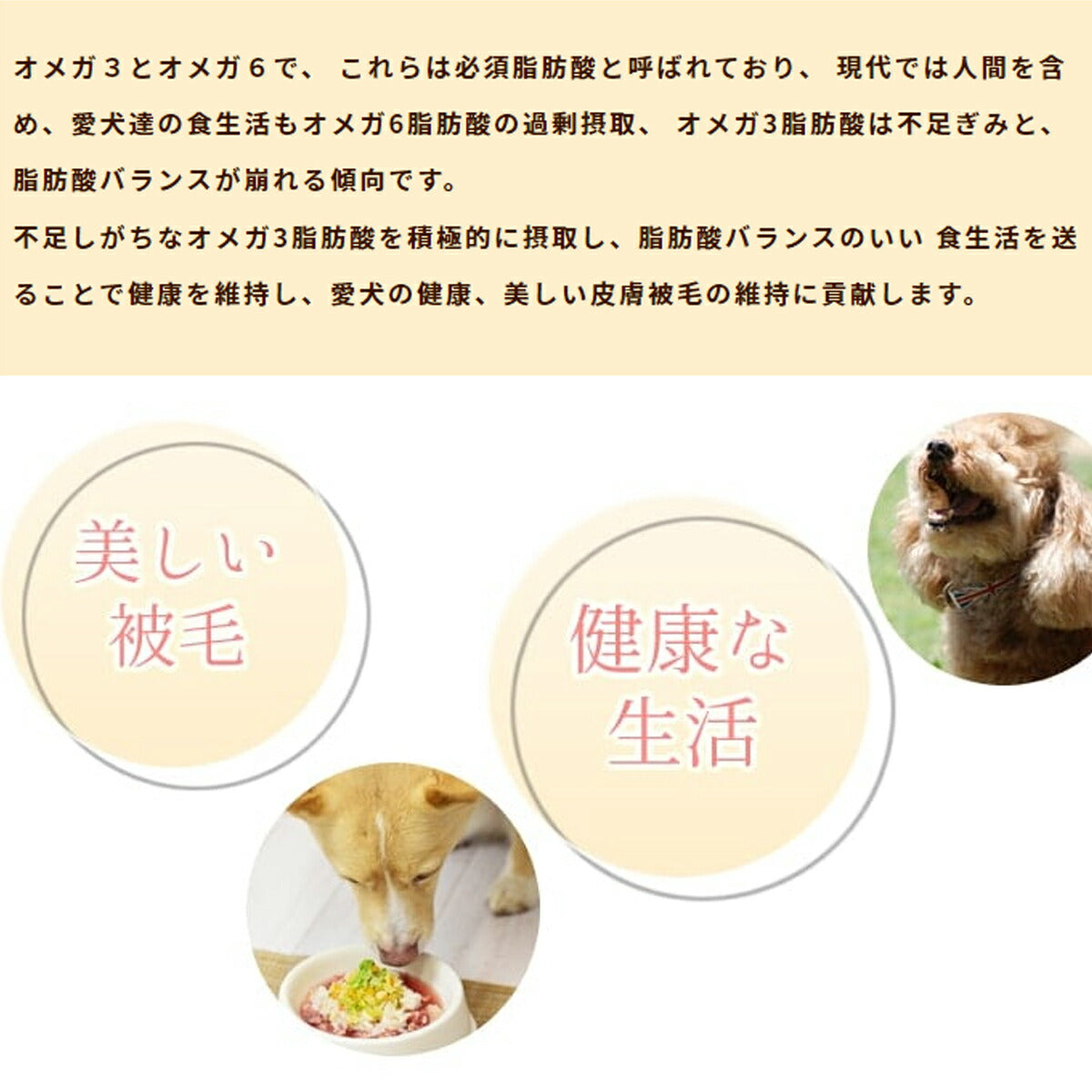 帝塚山ハウンドカム 犬猫用 マグロの健康オメガ3オイル 100ml