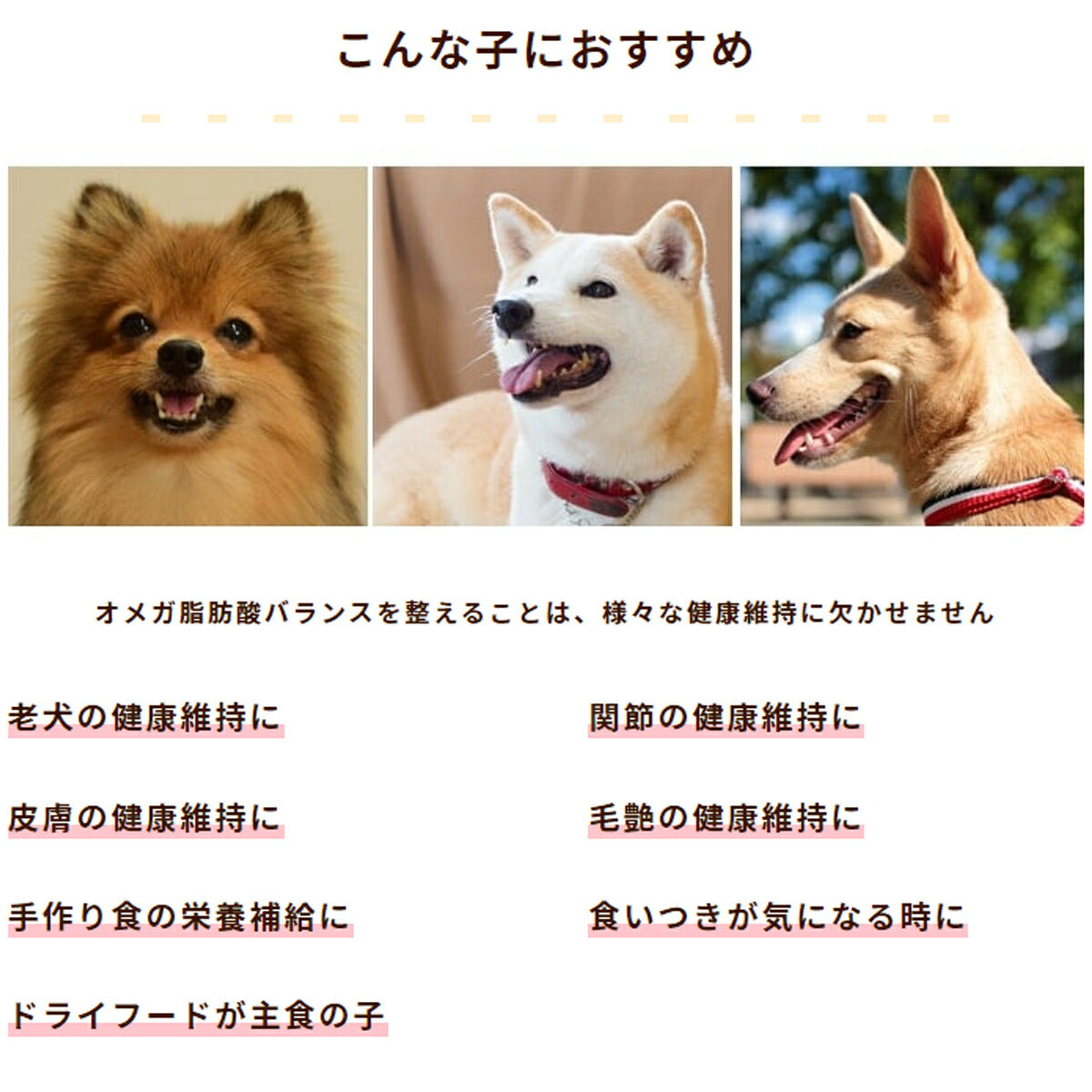 帝塚山ハウンドカム 犬猫用 マグロの健康オメガ3オイル 100ml