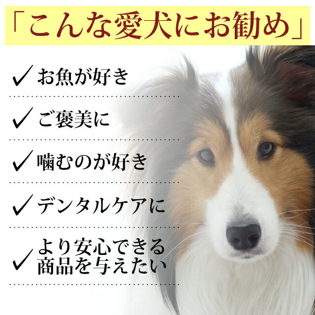 GLORY DOG＆EARTH 無添加獲れたて さわらコロコロステーキ 魚のおやつ 70g