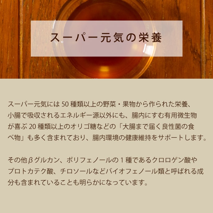 帝塚山ハウンドカム 犬猫用 酵素ドリンクスーパー元気 100ml×6本セット