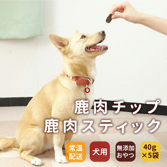 GLORY DOG&EARTH 犬猫用おやつ 鹿肉スティック 無添加ジャーキー 40g