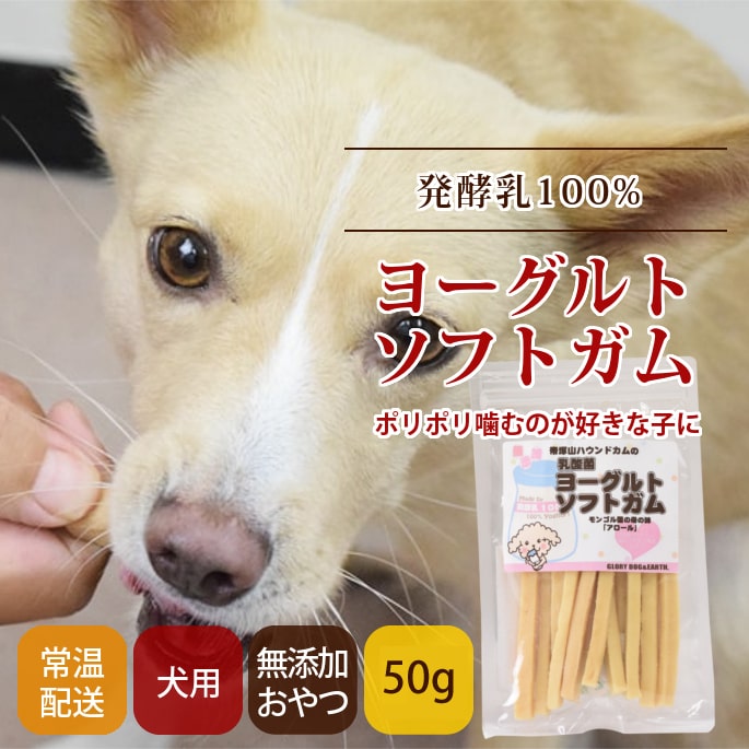 帝塚山ハウンドカム 無添加犬おやつ 乳酸菌ヨーグルトソフトガム モンゴル産ヨーグルトスティック 50g