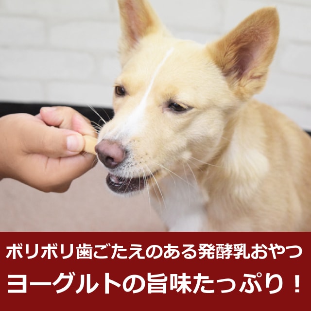 帝塚山ハウンドカム 無添加犬おやつ 乳酸菌ヨーグルトソフトガム モンゴル産ヨーグルトスティック 50g