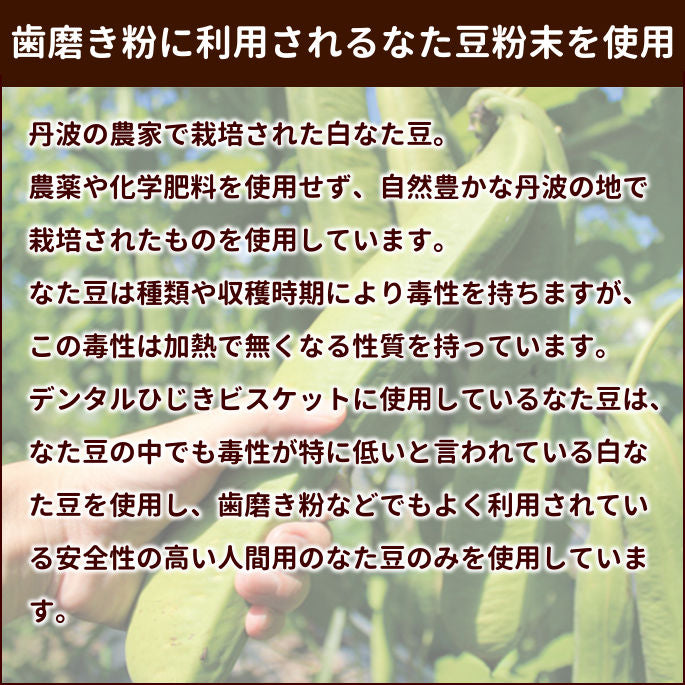 GLORY DOG＆EARTH デンタルひじきビスケット ハード 60g