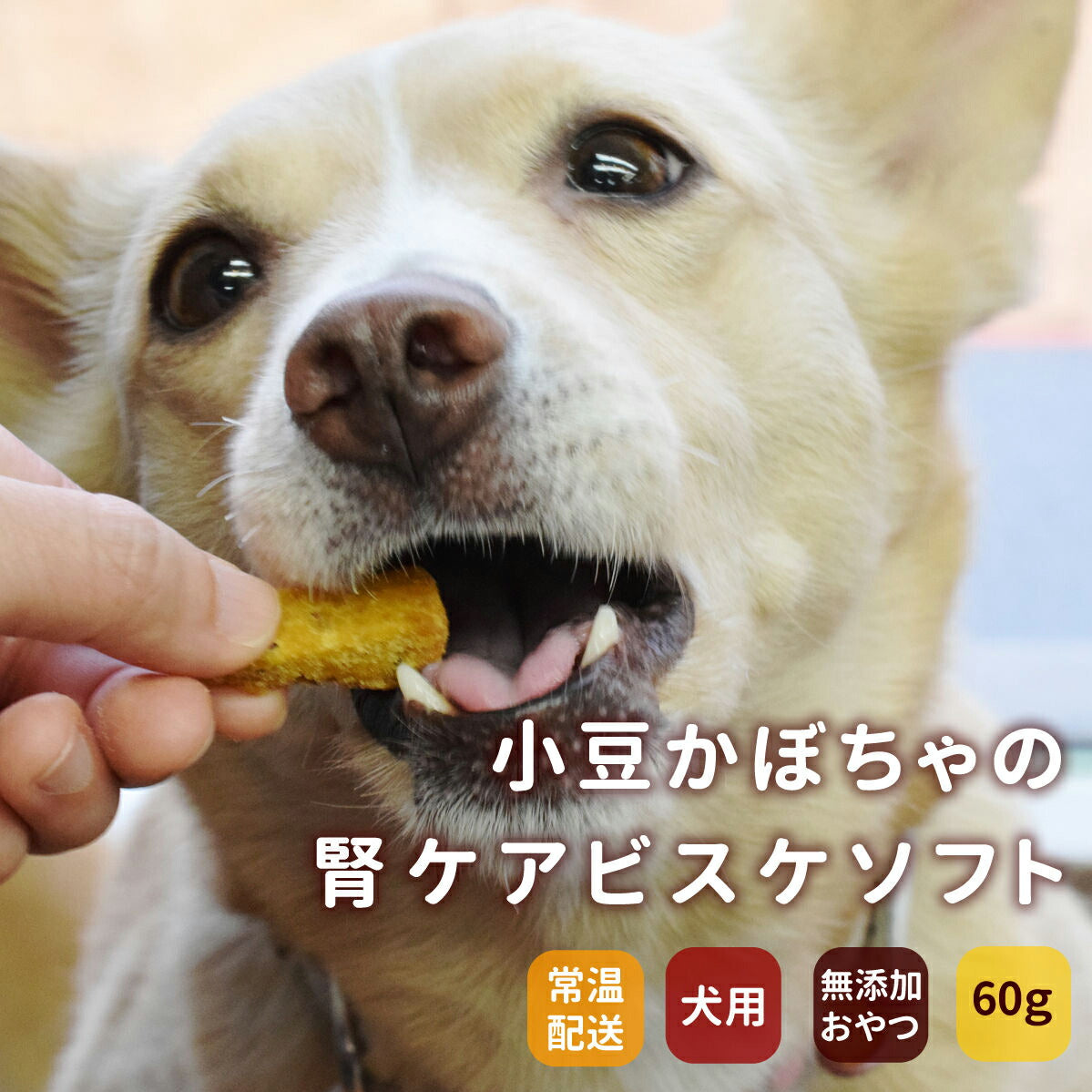 帝塚山ハウンドカム 犬用無添加おやつ 小豆かぼちゃの腎ケアビスケ ソフト 60g
