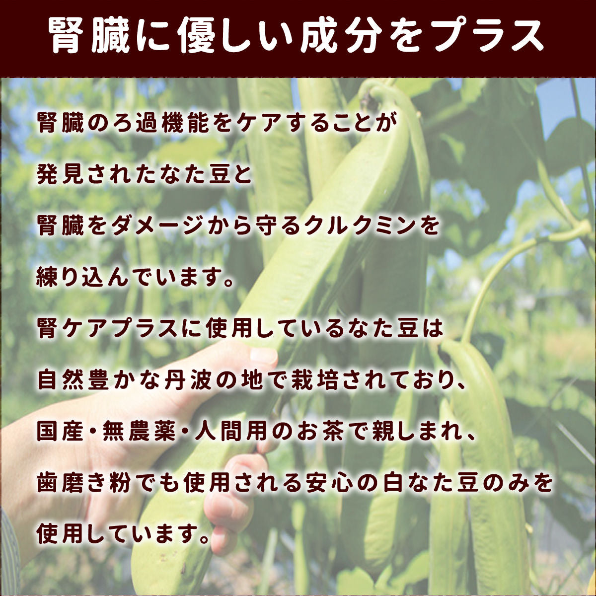 帝塚山ハウンドカム 犬用無添加おやつ 小豆かぼちゃの腎ケアビスケ ソフト 60g