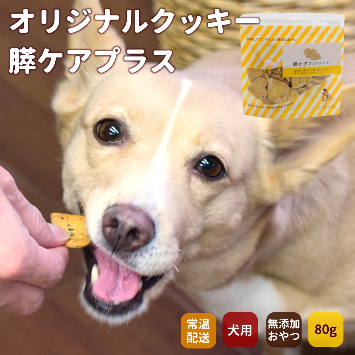 帝塚山ハウンドカム オリジナルクッキー 膵ケアプラス 80g