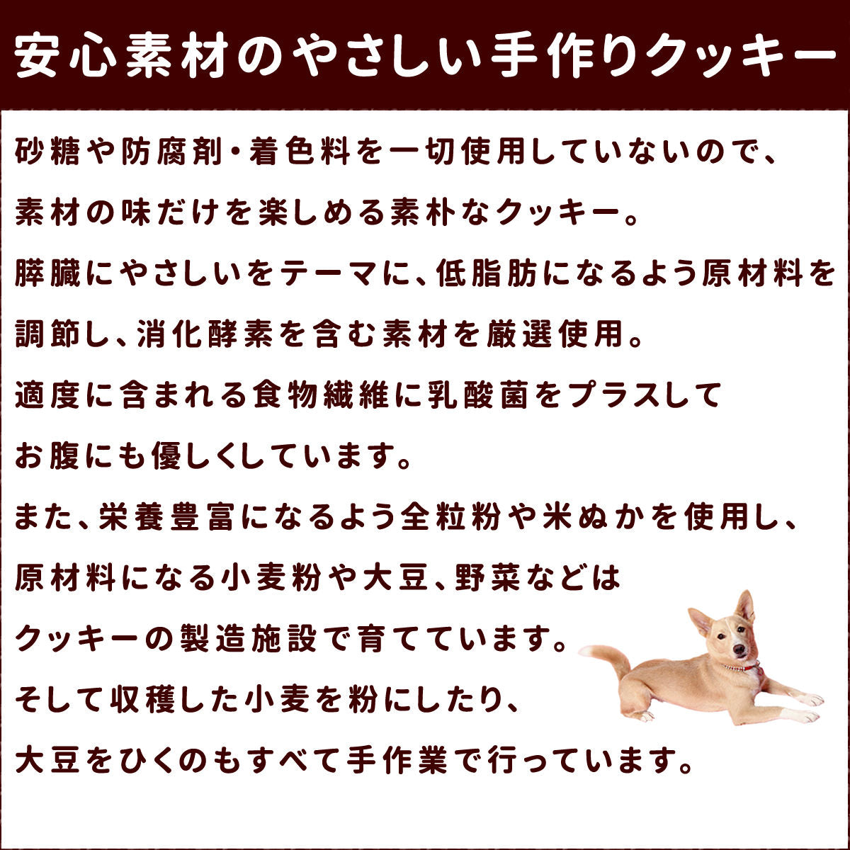 帝塚山ハウンドカム オリジナルクッキー 膵ケアプラス 80g