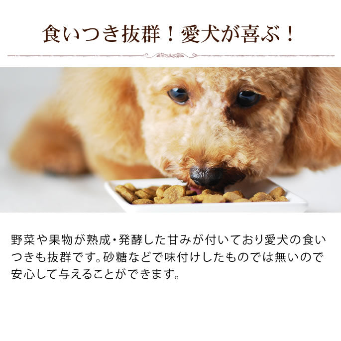 帝塚山ハウンドカム 犬猫用 発酵野菜パウダー 酵素パワー元気健康プラス 150g