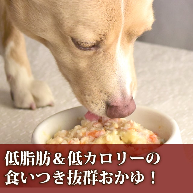 帝塚山ハウンドカム 愛犬の安心レトルトごはん 低カロリーササミと玉子のおかゆ 100g