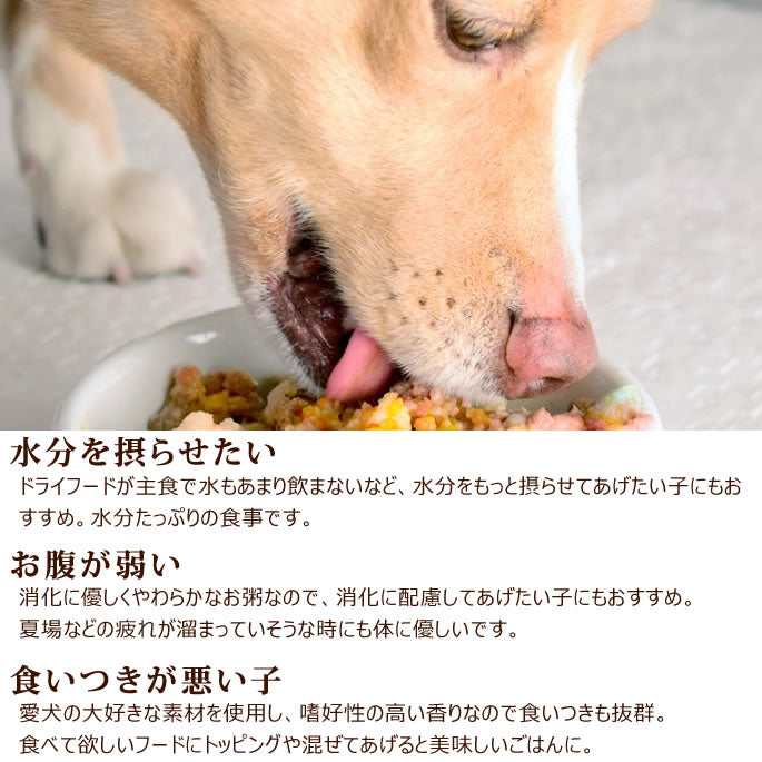 帝塚山ハウンドカム 愛犬の安心レトルトごはん 低カロリー馬肉とかぼちゃのミルクがゆ 100g