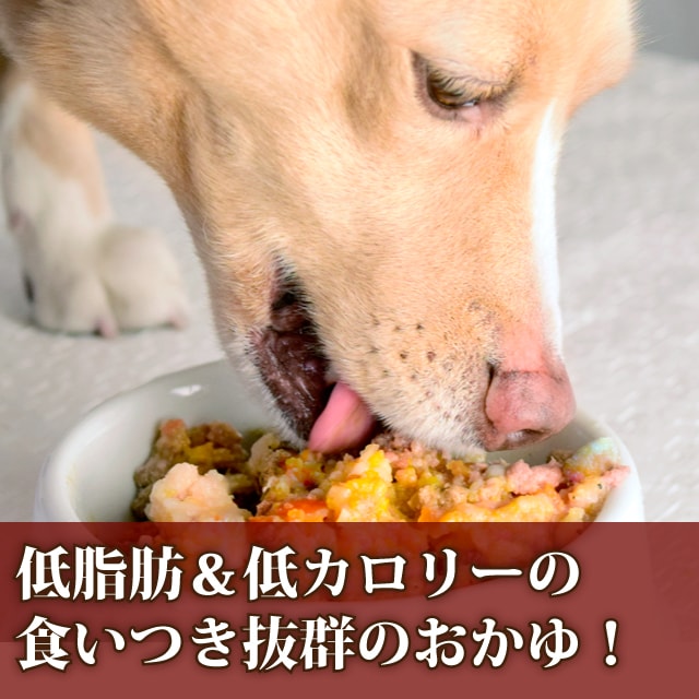 帝塚山ハウンドカム 愛犬の安心レトルトごはん 低カロリー馬肉とかぼちゃのミルクがゆ 100g