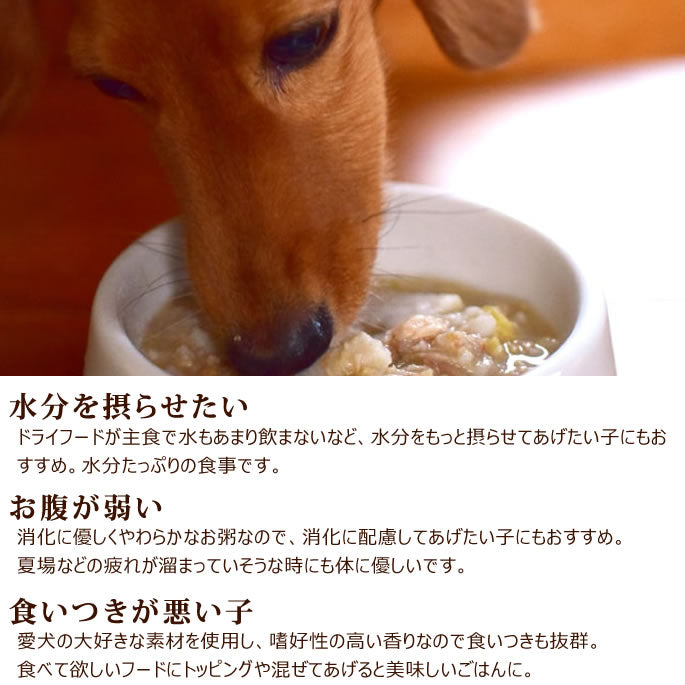 帝塚山ハウンドカム 愛犬の安心レトルトごはん 低カロリー鮭の芋がゆ 100g