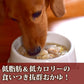 帝塚山ハウンドカム 愛犬の安心レトルトごはん 低カロリー鮭の芋がゆ 100g