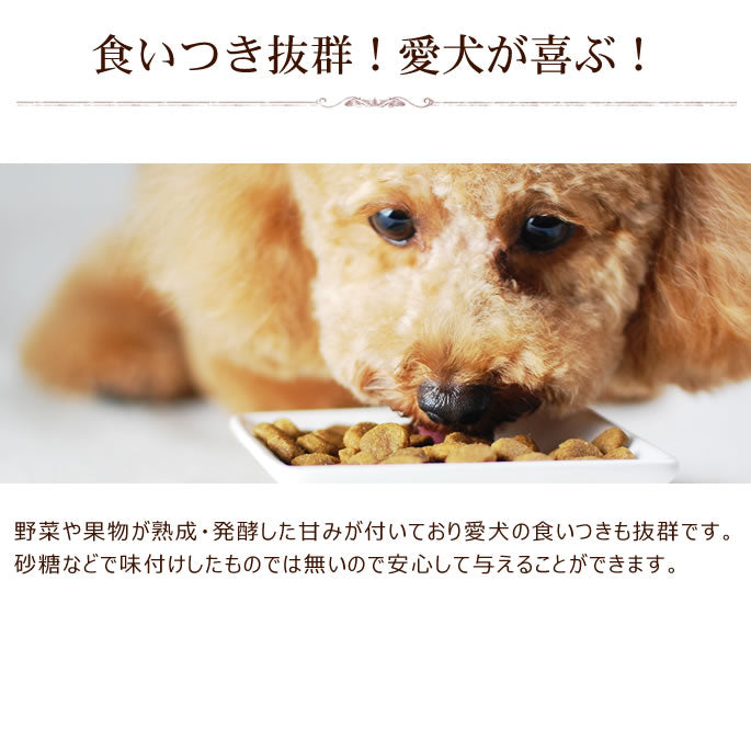 帝塚山ハウンドカム 犬用猫用 栄養補助食 栄養満点パウダー 100g