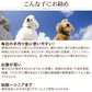 帝塚山ハウンドカム 犬用猫用 栄養補助食 栄養満点パウダー 500g