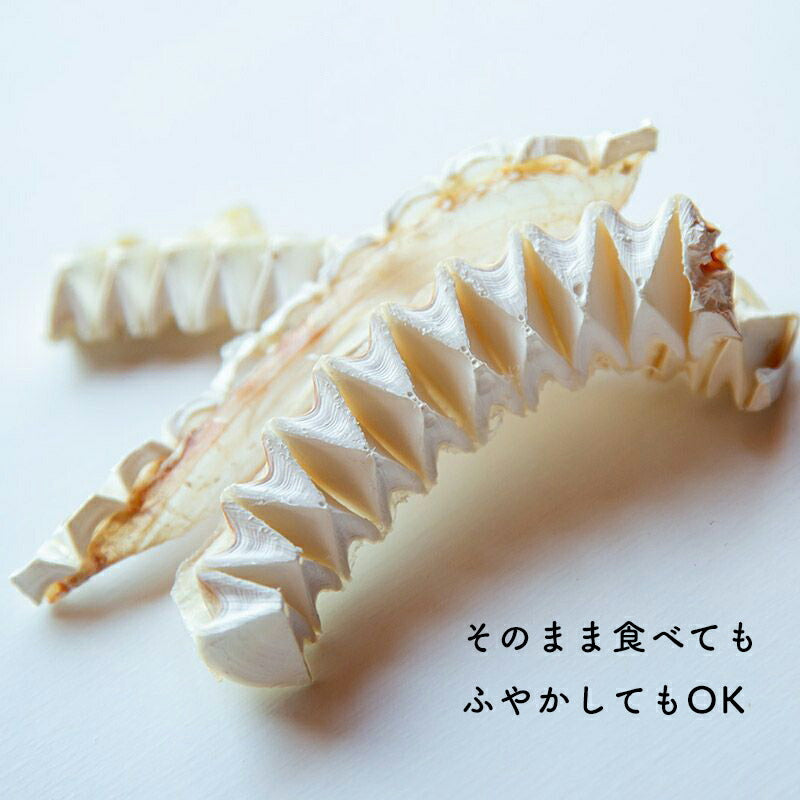 umino pet 愛犬用おやつ サメ軟骨スティック 40g