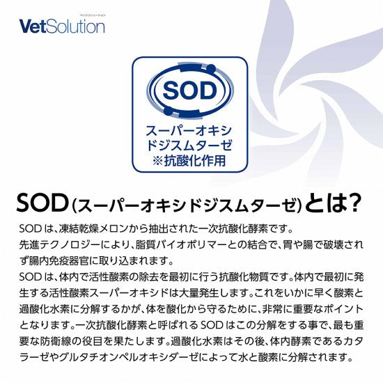 猫用 療法食 Vet Solution ベッツソリューション キャットフード 胃腸サポート 400g 無添加 MONGE（モンジ） グレインフリー 穀物不使用