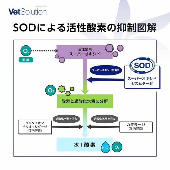 猫用 療法食 Vet Solution ベッツソリューション キャットフード 胃腸サポート 400g 無添加 MONGE（モンジ） グレインフリー 穀物不使用