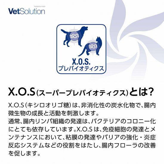 猫用 療法食 Vet Solution ベッツソリューション キャットフード 胃腸サポート 400g 無添加 MONGE（モンジ） グレインフリー 穀物不使用