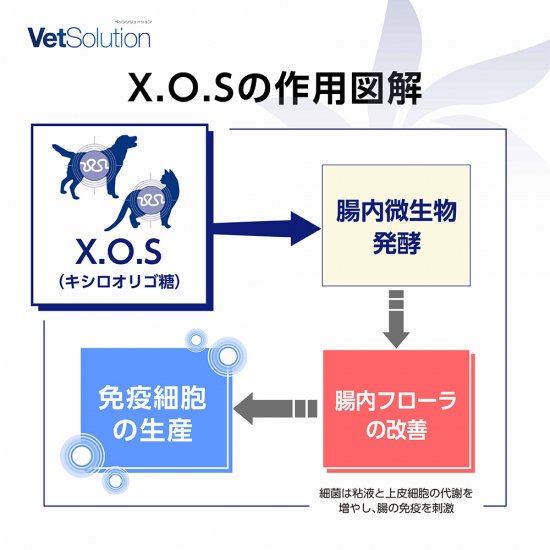 猫用 療法食 Vet Solution ベッツソリューション キャットフード 胃腸サポート 400g 無添加 MONGE（モンジ） グレインフリー 穀物不使用