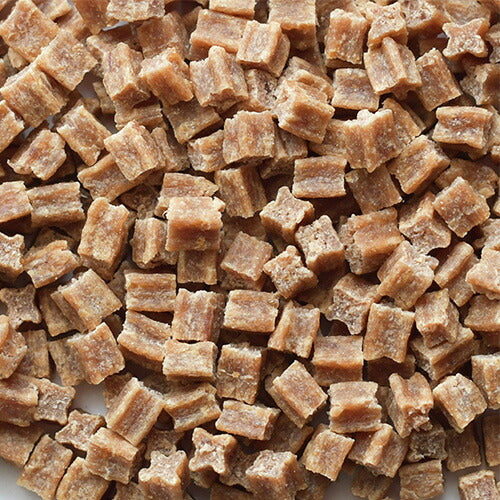ドッグヴォイス 国産プレミアムセミモイストドッグフード オールステージ 400g（100g×4分包タイプ） 無添加 半生 柔らかい