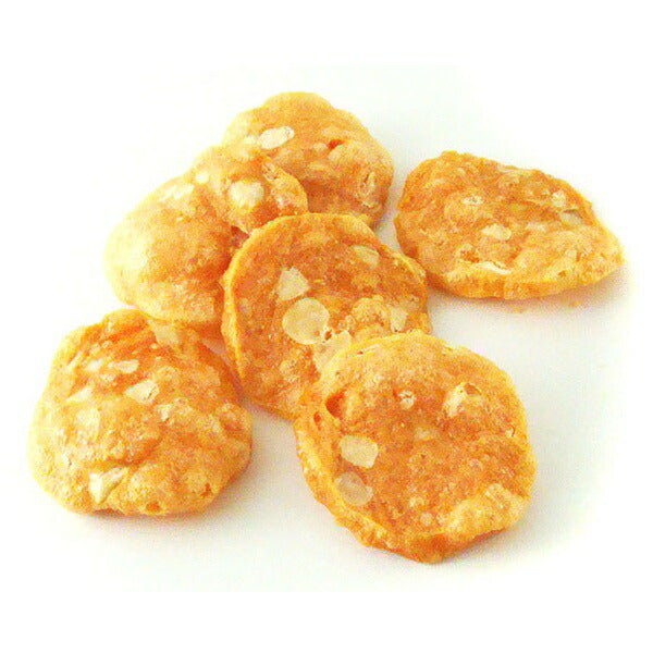 わんわん チョイでか S・S・S・C 40g