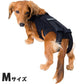 わんコル 持ち手つき Mサイズ 送料無料 犬用品/ペットグッズ/ペット用品