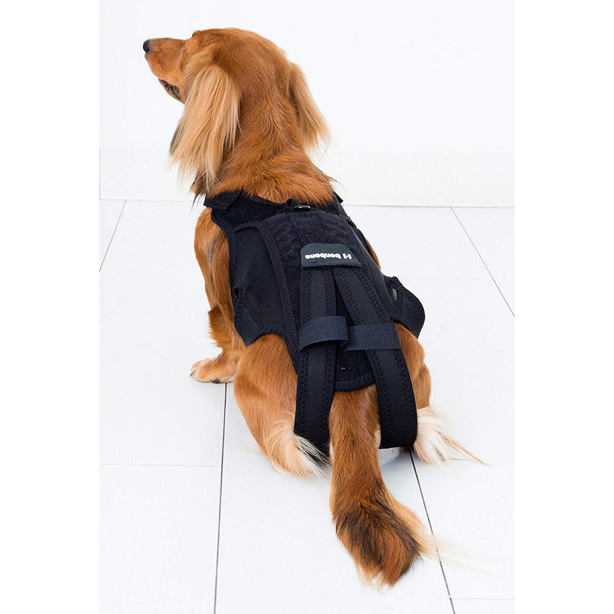 わんコル 持ち手つき Mサイズ 送料無料 犬用品/ペットグッズ/ペット用品