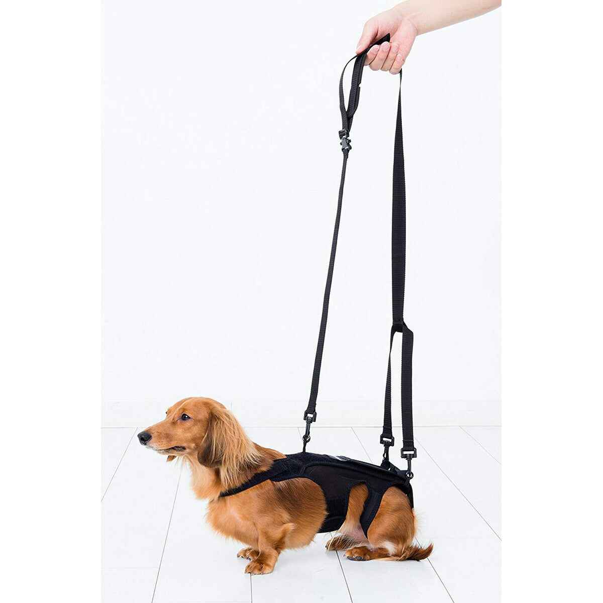 わんコル 持ち手つき Mサイズ 送料無料 犬用品/ペットグッズ/ペット用品