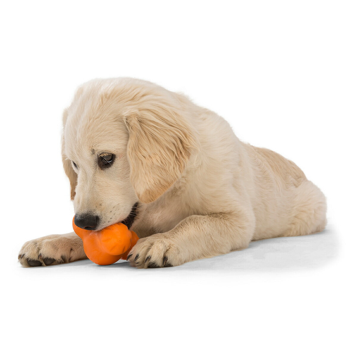 ウェストポウ ゾゴフレックス タックス L タンジェリンオレンジ