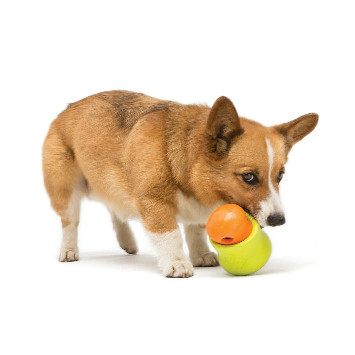 ウェストポウ ゾゴフレックス タップル S グラニースミスグリーン