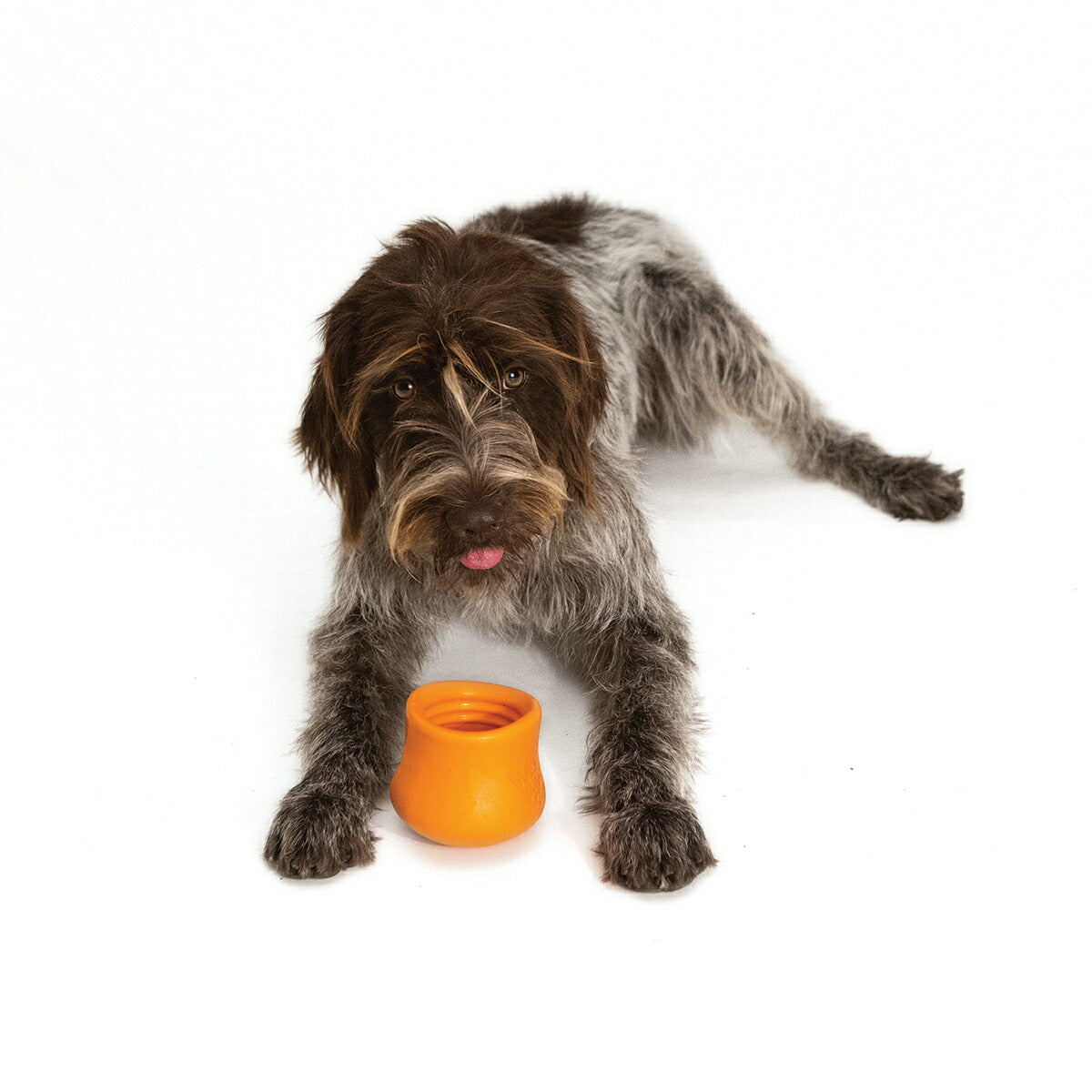 ウェストポウ ゾゴフレックス タップル L タンジェリンオレンジ