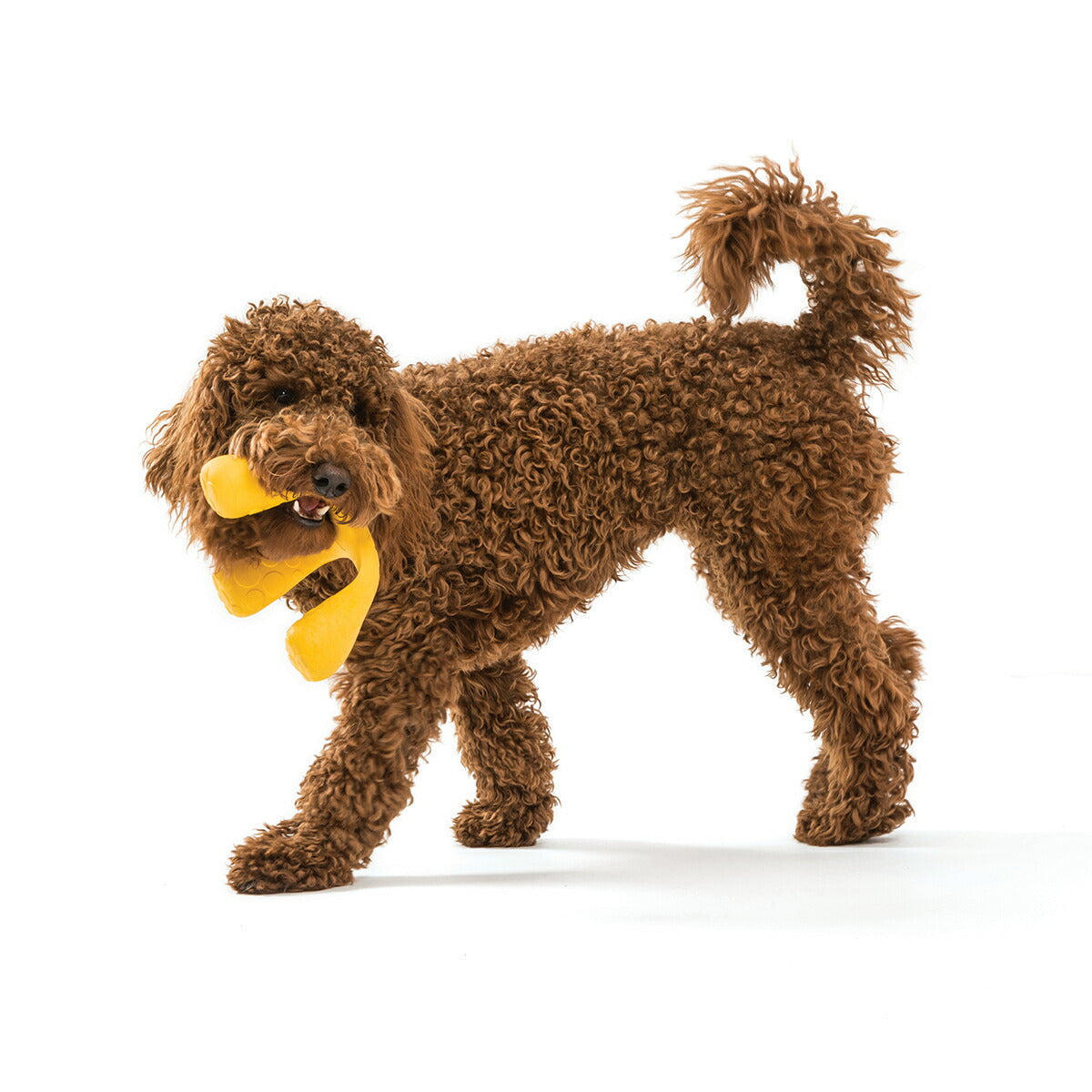 ウェストポウ ゾゴフレックス・エア ウォックス ドッグトイ L ダンデライオン（イエロー）