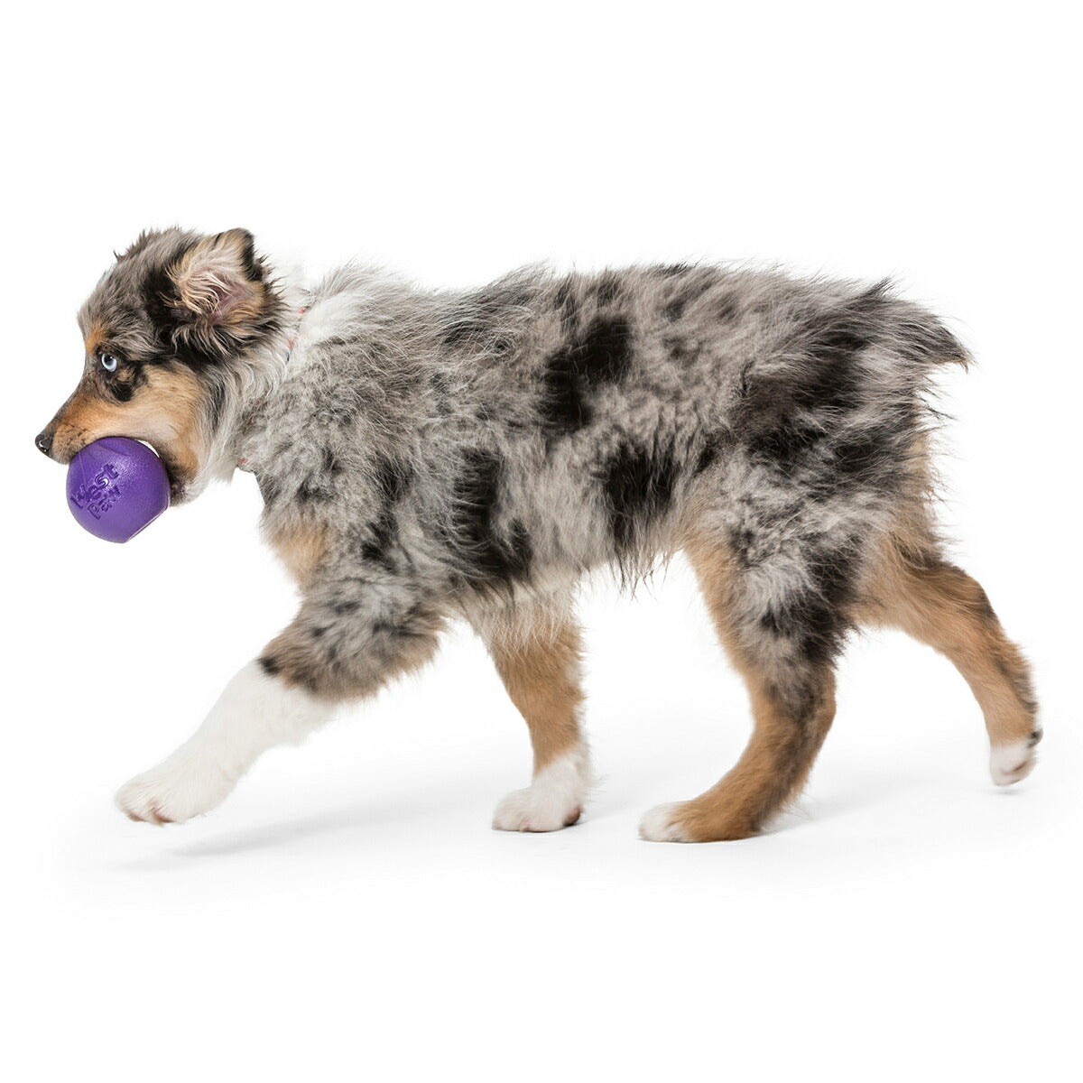 ウェストポウ ゾゴフレックス・エコー ランダ S エッグプラントパープル