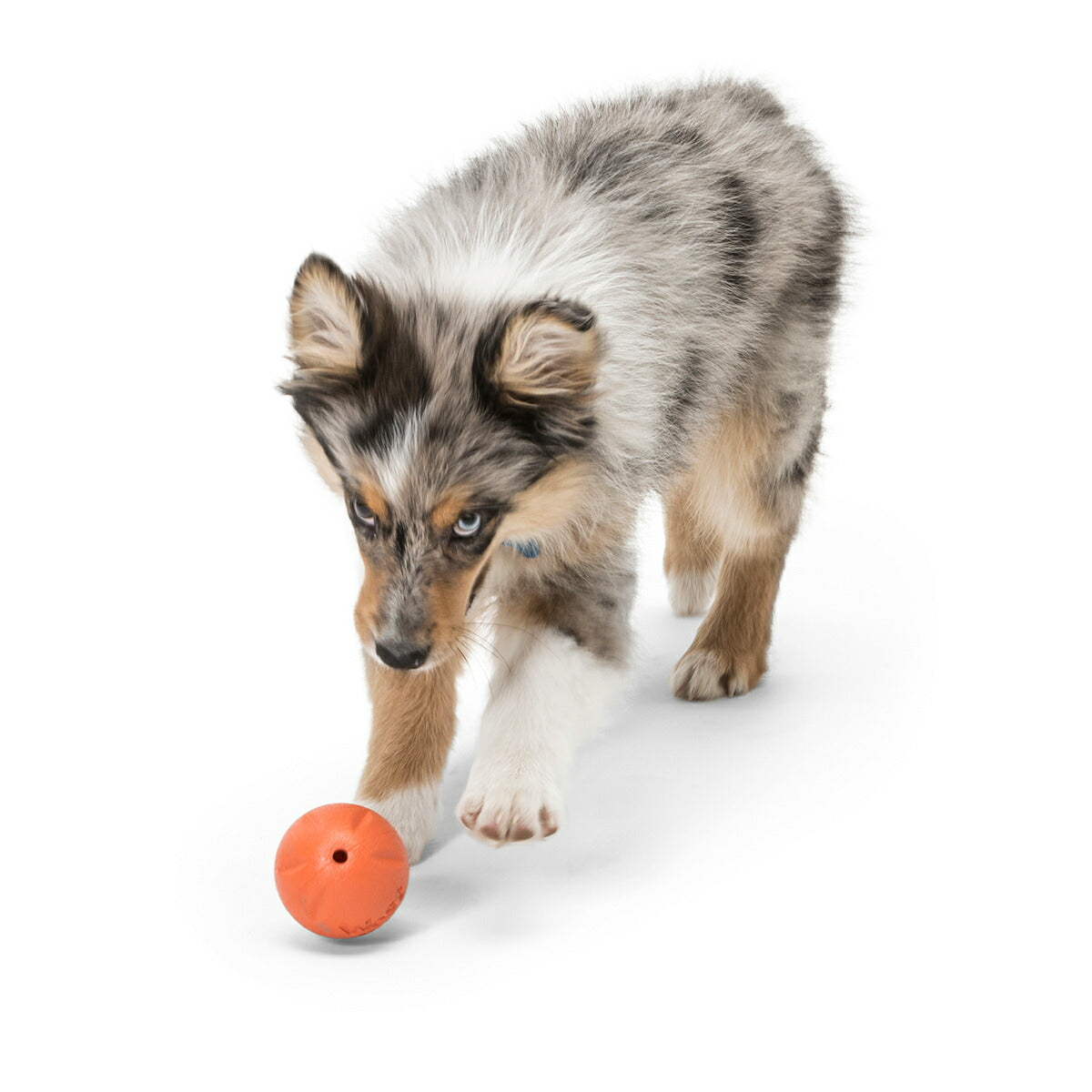 ウェストポウ ゾゴフレックス・エコー ランダ S メロンオレンジ