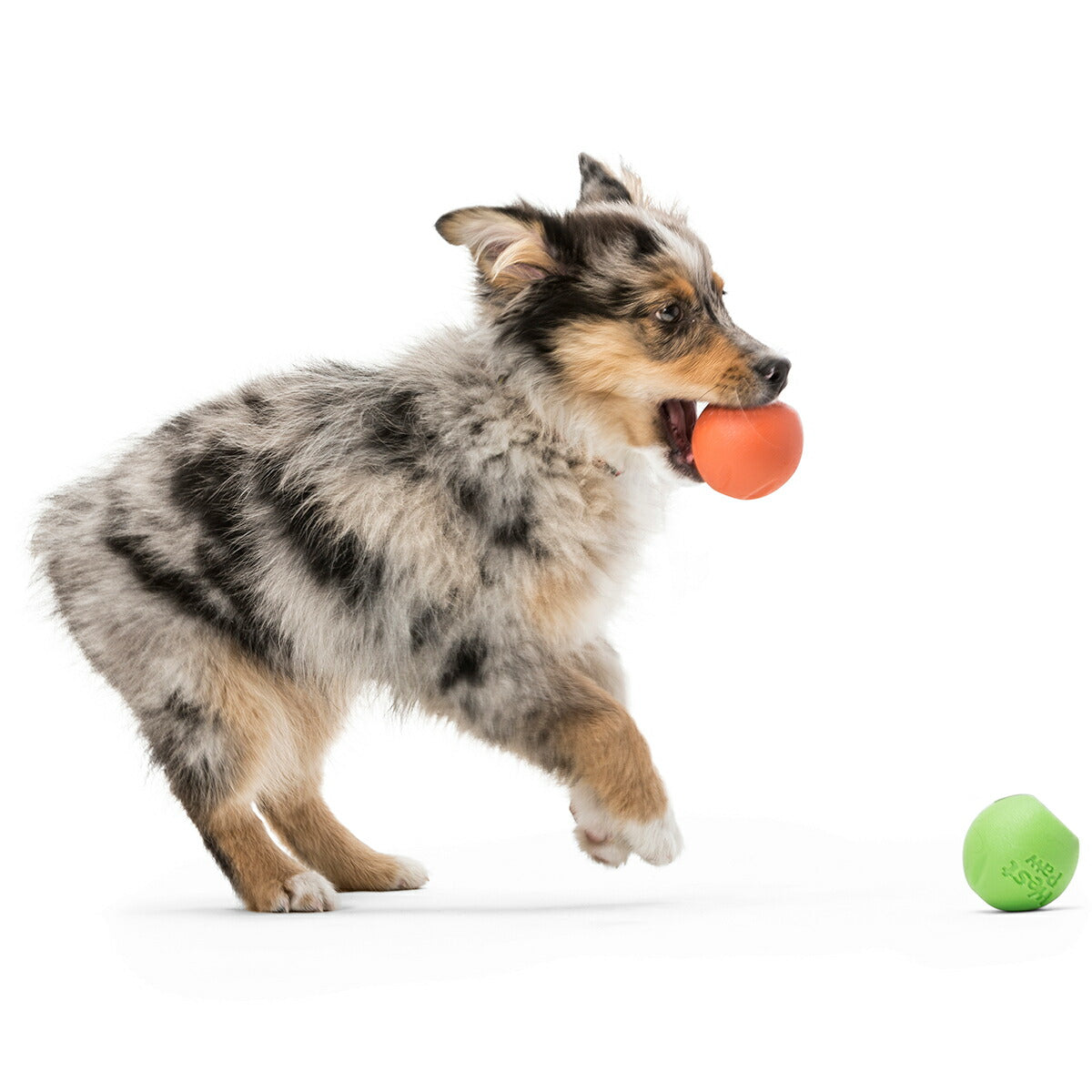 ウェストポウ ゾゴフレックス・エコー ランダ S メロンオレンジ