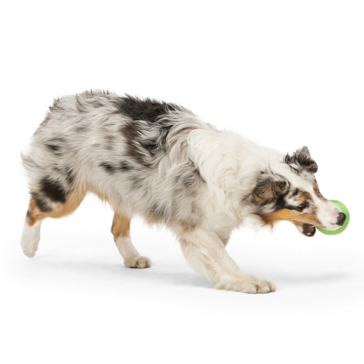 ウェストポウ ゾゴフレックス・エコー ランダ L ジャングルグリーン