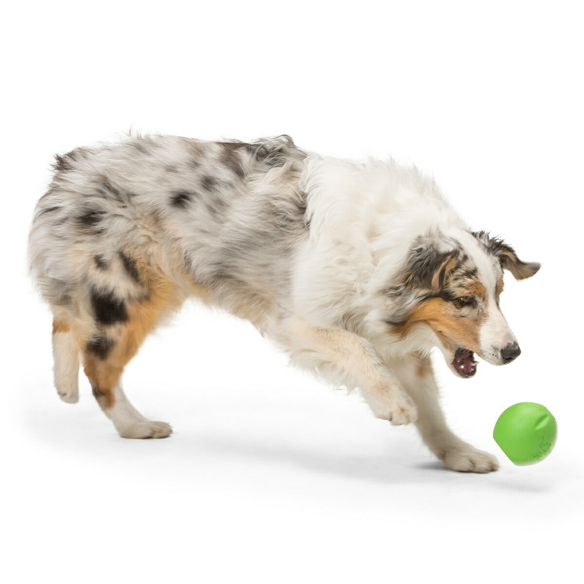 ウェストポウ ゾゴフレックス・エコー ランダ L ジャングルグリーン